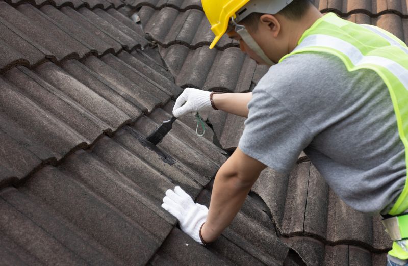 Roof Maintenance Service